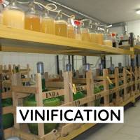 Tableau vinification